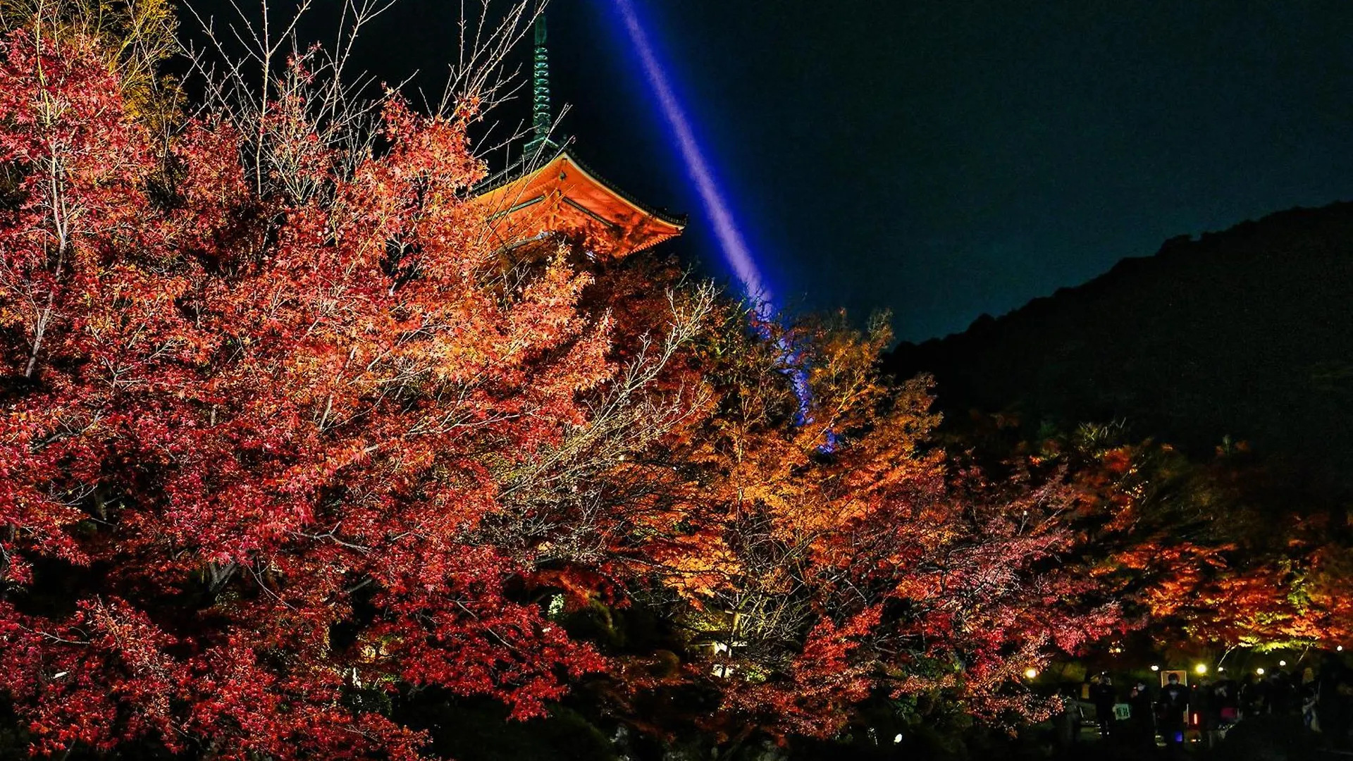 Ref Kyoto Hachijoguchi By Vessel Hotels Japan